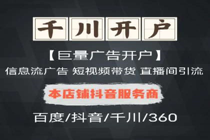 竞价广告投放技巧：如何提高转化率——案例分析